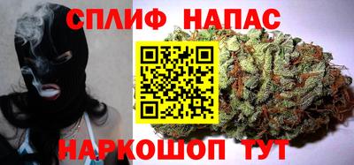 стафф Шебекино