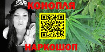 стафф Шебекино