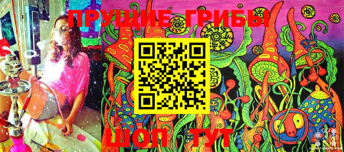 Псилоцибиновые грибы Cubensis Прохладный
